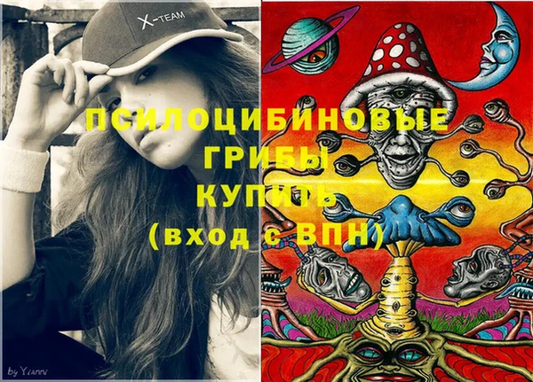 ПСИЛОЦИБИНОВЫЕ ГРИБЫ Бородино