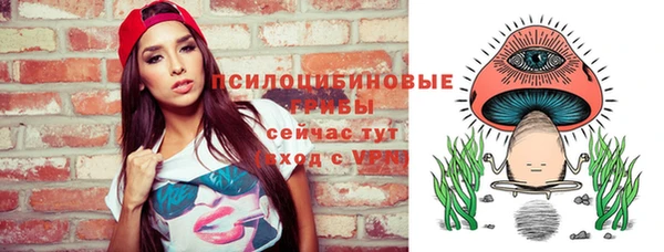 ешки Бугульма