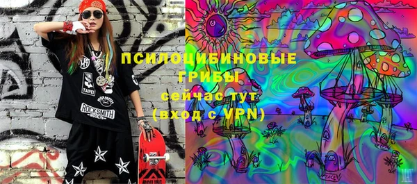 ешки Бугульма