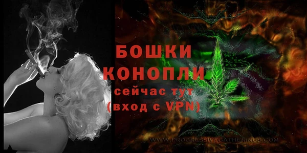 ПСИЛОЦИБИНОВЫЕ ГРИБЫ Бородино