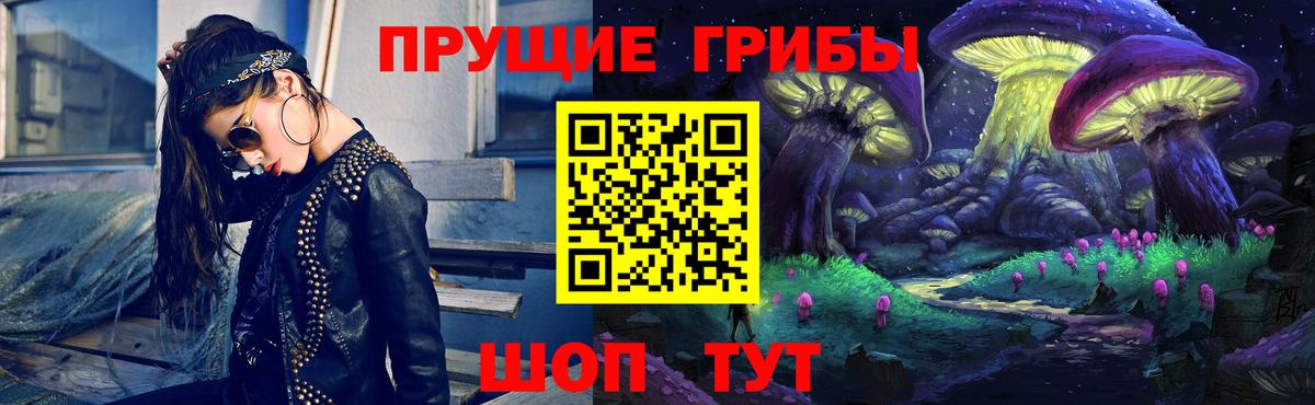Псилоцибиновые грибы Psilocybe Рыбинск